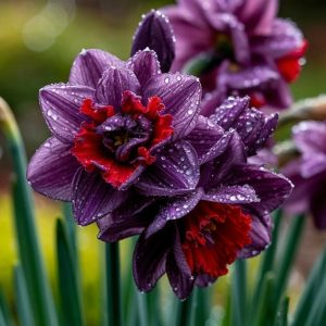 Нарцисс Минт Флер купить по цене от 2000р. в интернет-магазине «Посадика» с доставкой почтой в в Рузае и по всей России – [изображение №1].