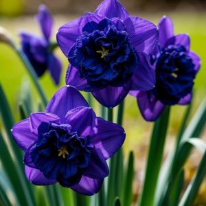 Нарцисс Арт Нуво купить по цене от 378р. в интернет-магазине «Посадика» с доставкой почтой в в Рузае и по всей России – [изображение №1].